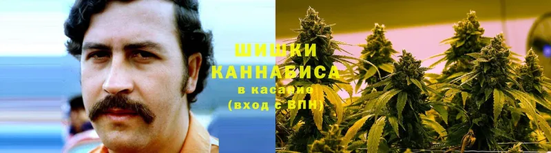 Конопля Ganja  Лебедянь 